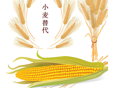 飼料生產過程中幾種糧食作物的替代品
