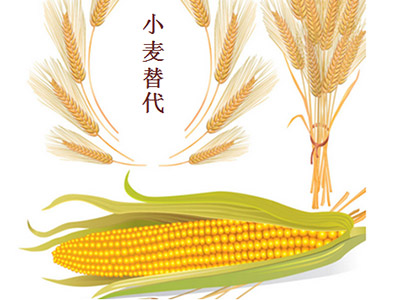 關于青貯飼料的解讀